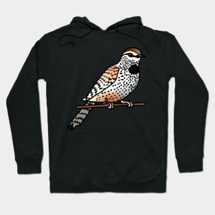 Cactus Wren Hoodie